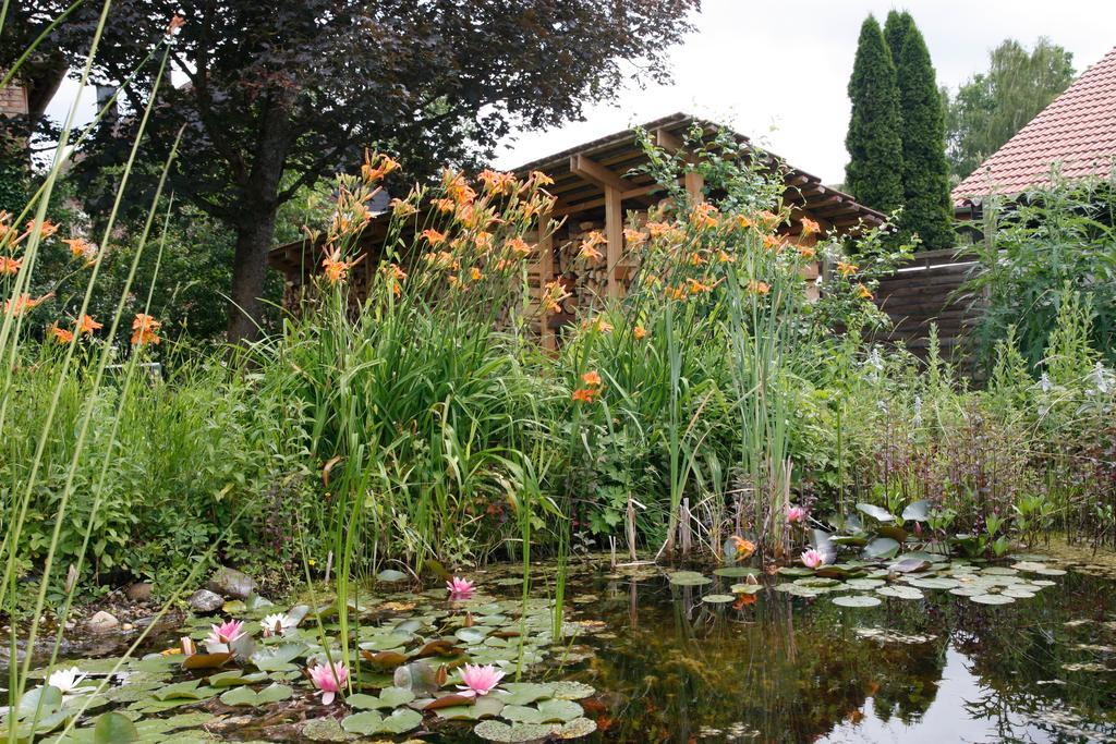 Gemuetliche Gaestezimmer In Einem Neu Sanierten Fachwerkhaus Sachsenheim Exterior foto